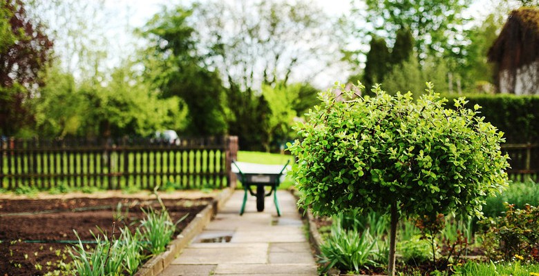 Aménagement de jardin : des conseils pour bien choisir son pépiniériste