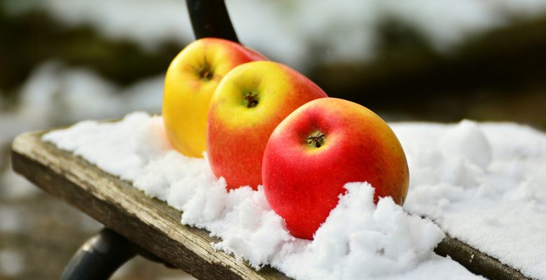 Quels légumes planter en hiver ?