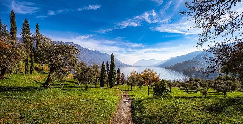 Comment éclairer son jardin : nos meilleurs conseils